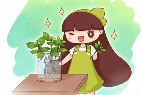 掐根枝扔水里,奇迹发生了 掐根枝扔水里,奇迹发生了