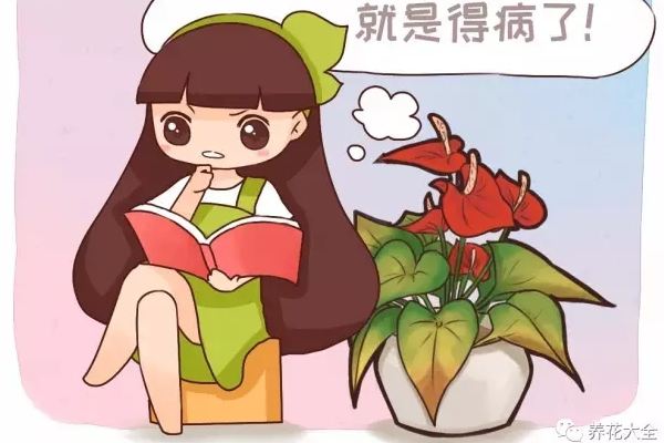 夏天花有这10种表现,就是得病了!再不管就死透啦! 夏天花有这10种表现,就是得病了!再不管就死透啦!
