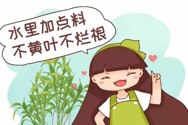 水里加点料,叶跟打了蜡似的,贼绿贼亮! 水里加点料,叶跟打了蜡似的,贼绿贼亮!