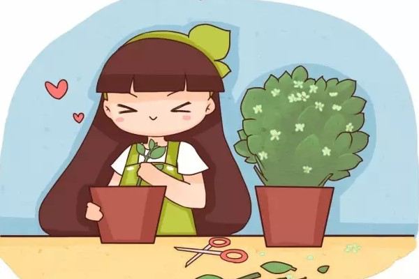 花开完赶紧剪,随手一插,5天就生根! 花开完赶紧剪,随手一插,5天就生根!
