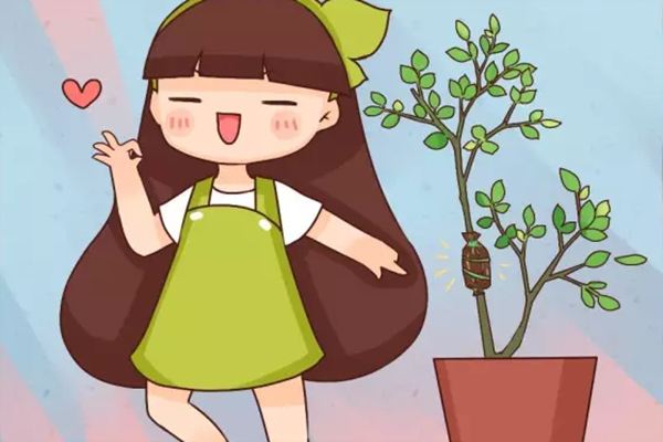 谁说扦插难?我在枝条上裹了层土,居然长出无数大白根! 谁说扦插难?我在枝条上裹了层土,居然长出无数大白根!