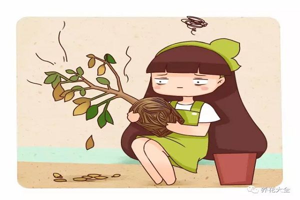 养了10年的花突然间就死了?赶紧这样做,还能捡回来一条命! 养了10年的花突然间就死了?赶紧这样做,还能捡回来一条命!