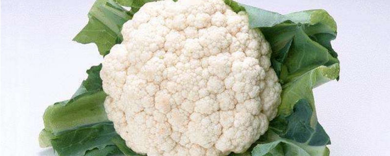 花椰菜的养殖方法和注意事项 花椰菜的养殖方法和注意事项