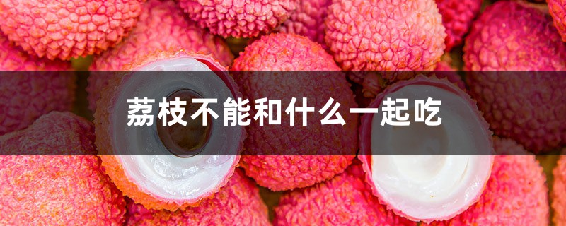 荔枝不能和什么一起吃 荔枝不能和什么一起吃