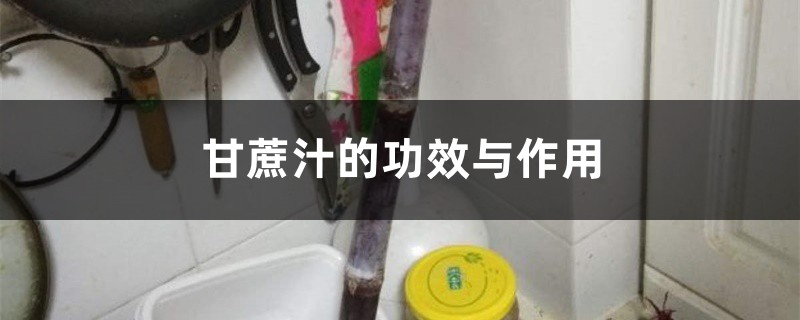 甘蔗汁的功效与作用,甘蔗汁怎么做 甘蔗汁的功效与作用,甘蔗汁怎么做