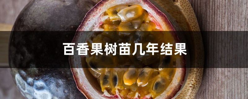 百香果树苗几年结果,结果期可以换盆吗 百香果树苗几年结果,结果期可以换盆吗