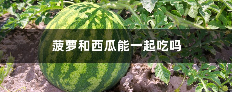 菠萝和西瓜能一起吃吗 菠萝和西瓜能一起吃吗