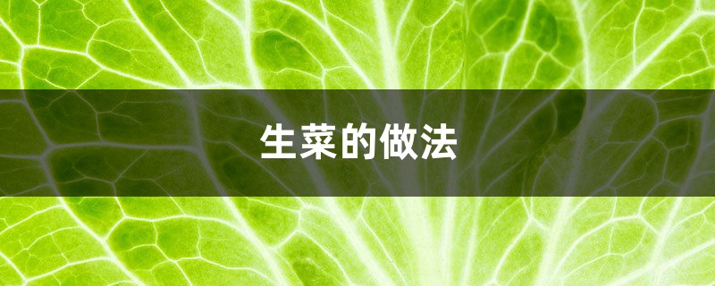 生菜的做法,怎么炒好吃 生菜的做法,怎么炒好吃